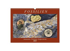 9783435254187 - Fossilien - Ammoniten Trilobiten Erdgeschichte (Wandkalender 2025 DIN A3 quer) CALVENDO Monatskalender