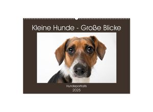 9783435254255 - Kleine Hunde - Große Blicke (Wandkalender 2025 DIN A2 quer) CALVENDO Monatskalender