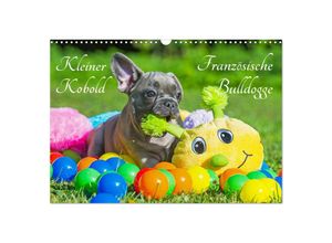 9783435256617 - Kleiner Kobold Französische Bulldogge (Wandkalender 2025 DIN A3 quer) CALVENDO Monatskalender