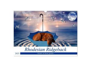 9783435256686 - Rhodesian Ridgeback - kreativ in Szene gesetzt - (Wandkalender 2025 DIN A3 quer) CALVENDO Monatskalender