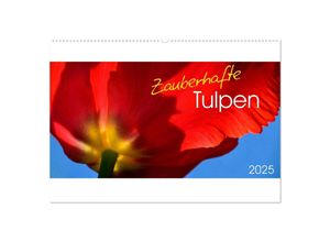 9783435256808 - Zauberhafte Tulpen (Wandkalender 2025 DIN A2 quer) CALVENDO Monatskalender