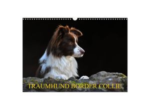 9783435256860 - Traumhund Border Collie (Wandkalender 2025 DIN A3 quer) CALVENDO Monatskalender