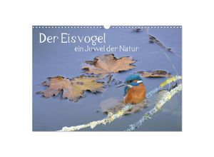 9783435256990 - Der Eisvogel ein Juwel der Natur (Wandkalender 2025 DIN A3 quer) CALVENDO Monatskalender