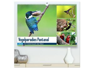 9783435257973 - Vogelparadies Pantanal (hochwertiger Premium Wandkalender 2025 DIN A2 quer) Kunstdruck in Hochglanz