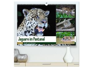 9783435258130 - Jaguare im Pantanal (hochwertiger Premium Wandkalender 2025 DIN A2 quer) Kunstdruck in Hochglanz