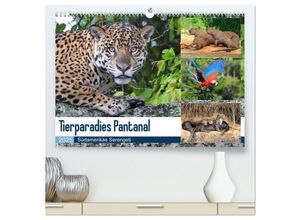 9783435258437 - Tierparadies Pantanal (hochwertiger Premium Wandkalender 2025 DIN A2 quer) Kunstdruck in Hochglanz