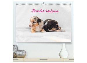 9783435259052 - Border Welpen (hochwertiger Premium Wandkalender 2025 DIN A2 quer) Kunstdruck in Hochglanz