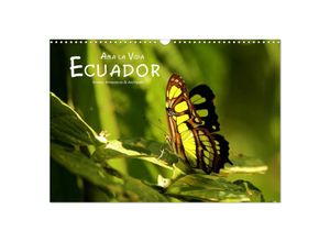 9783435259397 - Ama la Vida Ecuador (Wandkalender 2025 DIN A3 quer) CALVENDO Monatskalender