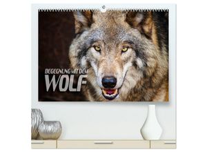 9783435259519 - Begegnung mit dem Wolf (hochwertiger Premium Wandkalender 2025 DIN A2 quer) Kunstdruck in Hochglanz