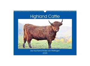 9783435259526 - Highland Cattle die Hochlandrinder aus Pfeffingen (Wandkalender 2025 DIN A3 quer) CALVENDO Monatskalender