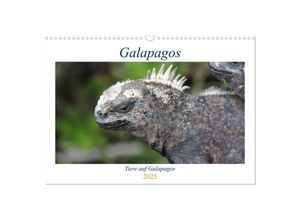 9783435259786 - Galapagos 2025 - Tiere auf Galapagos (Wandkalender 2025 DIN A3 quer) CALVENDO Monatskalender