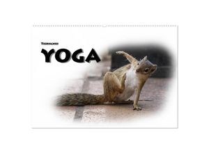 9783435260577 - Tierisches Yoga (Wandkalender 2025 DIN A2 quer) CALVENDO Monatskalender