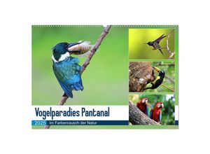 9783435262106 - Vogelparadies Pantanal (Wandkalender 2025 DIN A2 quer) CALVENDO Monatskalender