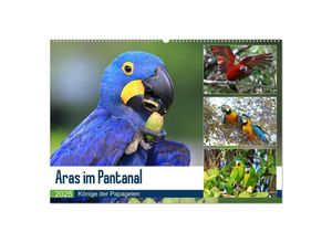 9783435262335 - Aras im Pantanal (Wandkalender 2025 DIN A2 quer) CALVENDO Monatskalender