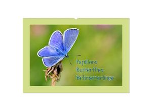 9783435262427 - Papillons-Butterflies-Schmetterlinge (Wandkalender 2025 DIN A2 quer) CALVENDO Monatskalender