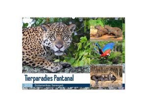 9783435262519 - Tierparadies Pantanal (Wandkalender 2025 DIN A2 quer) CALVENDO Monatskalender