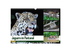 9783435262700 - Jaguare im Pantanal (Wandkalender 2025 DIN A3 quer) CALVENDO Monatskalender