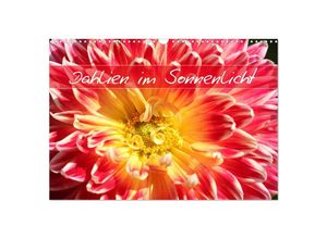 9783435263639 - Dahlien im Sonnenlicht (Wandkalender 2025 DIN A3 quer) CALVENDO Monatskalender