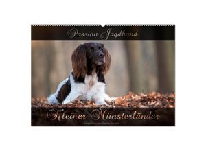 9783435264285 - Passion Jagdhund - Kleiner Münsterländer (Wandkalender 2025 DIN A2 quer) CALVENDO Monatskalender