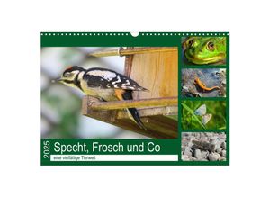 9783435264384 - Specht Frosch und Co - eine vielfältige Tierwelt (Wandkalender 2025 DIN A3 quer) CALVENDO Monatskalender