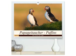 9783435265565 - Papageitaucher - Puffins (hochwertiger Premium Wandkalender 2025 DIN A2 quer) Kunstdruck in Hochglanz