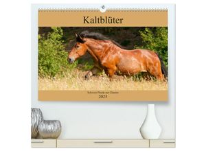 9783435265817 - Kaltblüter - Schwere Pferde mit Charme (hochwertiger Premium Wandkalender 2025 DIN A2 quer) Kunstdruck in Hochglanz