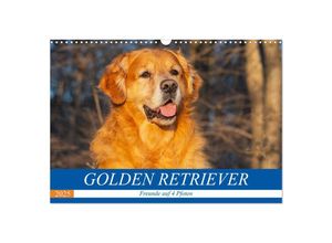 9783435266999 - Golden Retriever - Freunde auf 4 Pfoten (Wandkalender 2025 DIN A3 quer) CALVENDO Monatskalender