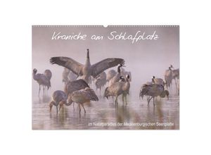 9783435267095 - Kraniche am Schlafplatz - im Naturparadies der Mecklenburgischen Seenplatte (Wandkalender 2025 DIN A2 quer) CALVENDO Monatskalender