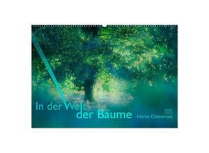 9783435267163 - In der Welt der Bäume (Wandkalender 2025 DIN A2 quer) CALVENDO Monatskalender