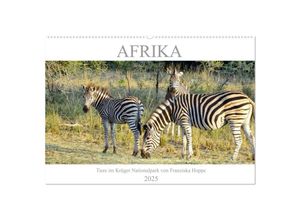 9783435267620 - Afrika - Tiere im Krüger Nationalpark (Wandkalender 2025 DIN A2 quer) CALVENDO Monatskalender