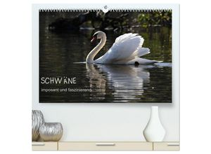 9783435268443 - Schwäne - imposant und faszinierend (hochwertiger Premium Wandkalender 2025 DIN A2 quer) Kunstdruck in Hochglanz