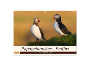 9783435269792 - Papageitaucher - Puffins (Wandkalender 2025 DIN A2 quer) CALVENDO Monatskalender