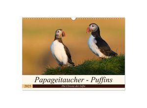 9783435270163 - Papageitaucher - Puffins (Wandkalender 2025 DIN A3 quer) CALVENDO Monatskalender