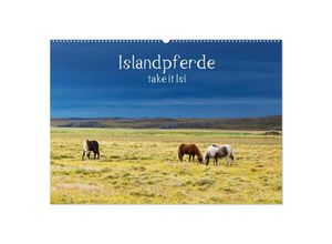 9783435272105 - Islandpferde take it Isi (Wandkalender 2025 DIN A2 quer) CALVENDO Monatskalender