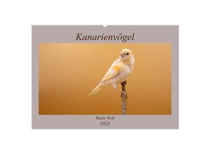 9783435272181 - Kanarienvögel - Bunte Welt (Wandkalender 2025 DIN A2 quer) CALVENDO Monatskalender