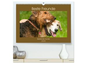 9783435273225 - Beste Freunde - Spielende Hunde (hochwertiger Premium Wandkalender 2025 DIN A2 quer) Kunstdruck in Hochglanz