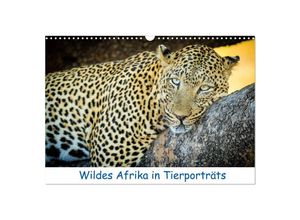 9783435273614 - Wildes Afrika in Tierporträts (Wandkalender 2025 DIN A3 quer) CALVENDO Monatskalender