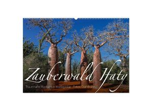 9783435277469 - Zauberwald Ifaty · Traumhafte Baobabs in Madagaskar (Wandkalender 2025 DIN A2 quer) CALVENDO Monatskalender