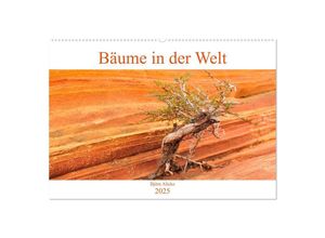 9783435277575 - Bäume in der Welt (Wandkalender 2025 DIN A2 quer) CALVENDO Monatskalender