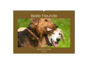 9783435277926 - Beste Freunde - Spielende Hunde (Wandkalender 2025 DIN A2 quer) CALVENDO Monatskalender