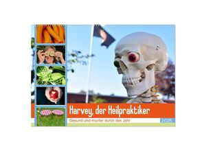 9783435278169 - Harvey der Heilpraktiker (Wandkalender 2025 DIN A2 quer) CALVENDO Monatskalender