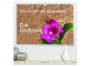 9783435280339 - Die Königin der Blumenwelt die Orchidee (hochwertiger Premium Wandkalender 2025 DIN A2 quer) Kunstdruck in Hochglanz