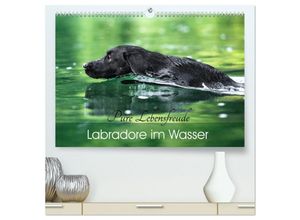 9783435280551 - Labradore im Wasser (hochwertiger Premium Wandkalender 2025 DIN A2 quer) Kunstdruck in Hochglanz