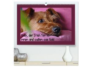 9783435281336 - Kelly der Irish Terrier - innen und außen aus Gold (hochwertiger Premium Wandkalender 2025 DIN A2 quer) Kunstdruck in Hochglanz