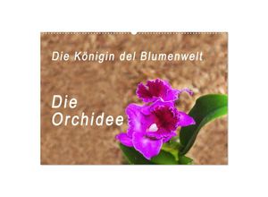 9783435285129 - Die Königin der Blumenwelt die Orchidee (Wandkalender 2025 DIN A2 quer) CALVENDO Monatskalender