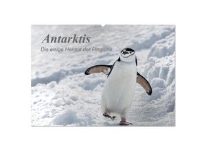 9783435285808 - Antarktis die eisige Heimat der Pinguine (Wandkalender 2025 DIN A2 quer) CALVENDO Monatskalender