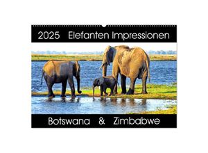 9783435285822 - Elefanten Impressionen (Wandkalender 2025 DIN A2 quer) CALVENDO Monatskalender