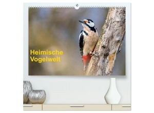 9783435286171 - Heimische Vogelwelt (hochwertiger Premium Wandkalender 2025 DIN A2 quer) Kunstdruck in Hochglanz