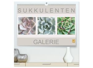 9783435286690 - Sukkulenten Galerie (hochwertiger Premium Wandkalender 2025 DIN A2 quer) Kunstdruck in Hochglanz