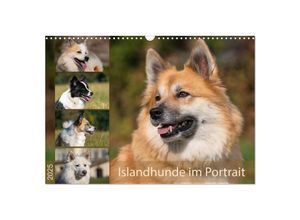 9783435287642 - Islandhunde im Portrait (Wandkalender 2025 DIN A3 quer) CALVENDO Monatskalender